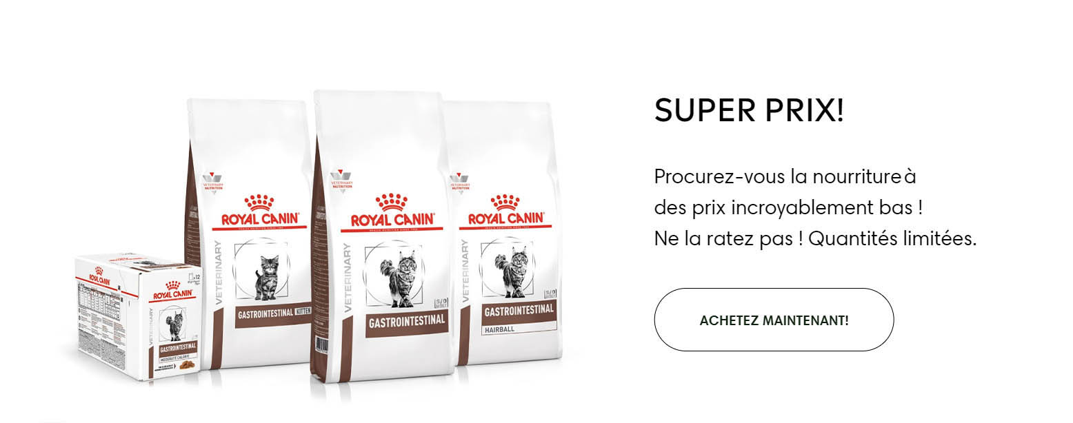 Animal Compagnie Fournitures Magasin -Animal Compagnie Fournitures Magasin VGJNGJ 1