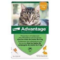Animal Compagnie Fournitures Magasin 21 Animal Compagnie Fournitures Magasin -Animal Compagnie Fournitures Magasin advantage 40 chat et lapin de 1 a 4 kg pipettes x4