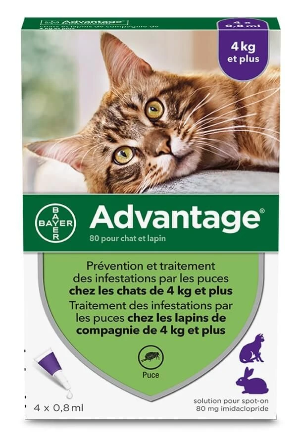 Advantage 80 Chat Et Lapin + De 4 Kg Pipettes X4