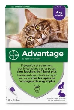 Advantage 80 Chat Et Lapin De + De 4 Kg Pipettes X6