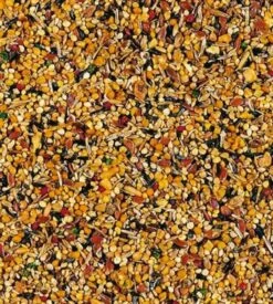 Nouvelles versions -Animal Compagnie Fournitures Magasin beaphar xtravital oiseaux exotiques 500 g2