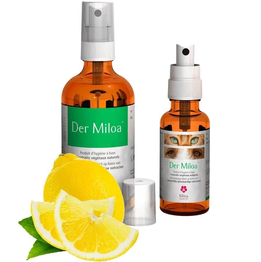 Der Miloa Huiles Essentielles Naturelles 30 Ml 1 Der Miloa Huiles Essentielles Naturelles 30 Ml