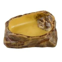 Exo Terra Bol à Eau Reptile 10 X 12.5 X 4 Cm