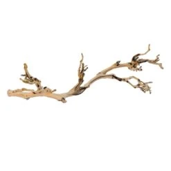 Exo Terra Branche De Vigne Sablée Reptile L