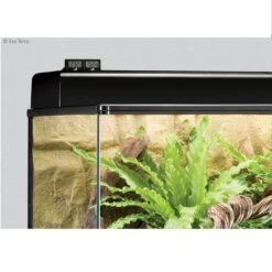 Exo Terra Thermomètre Digital Pour Terrarium -Animal Compagnie Fournitures Magasin exo terra thermom tre digital pour terrarium