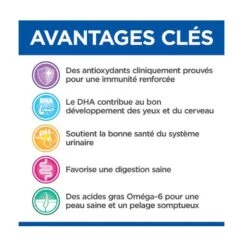 Hill's Science Plan VetEssentials Feline Kitten Growth AB+ Poulet 3 Kg -Animal Compagnie Fournitures Magasin hill s vetessentials feline kitten growth ab poulet 3 kg 3