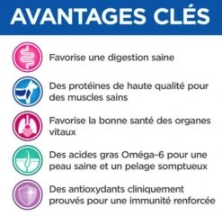 Hill's Science Plan VetEssentials Canine Adult Poulet Tendre & Légumes 12 X 363 G -Animal Compagnie Fournitures Magasin hill s vetessentials canine adult poulet tendre le gumes363g3