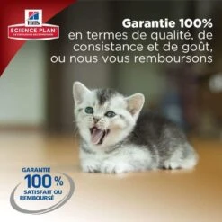 Hill's Science Plan Hill's Science Plan Feline Kitten Poulet 3 Kg -Animal Compagnie Fournitures Magasin hill s science plan kitten poulet 3 kg4