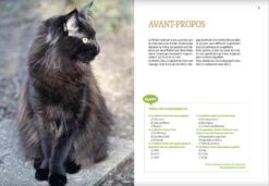 Livre - Maine Coon -Animal Compagnie Fournitures Magasin maine coon3