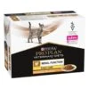 Purina Proplan PPVD Chat Rénal NF Early Care Poulet 10 X 85 G