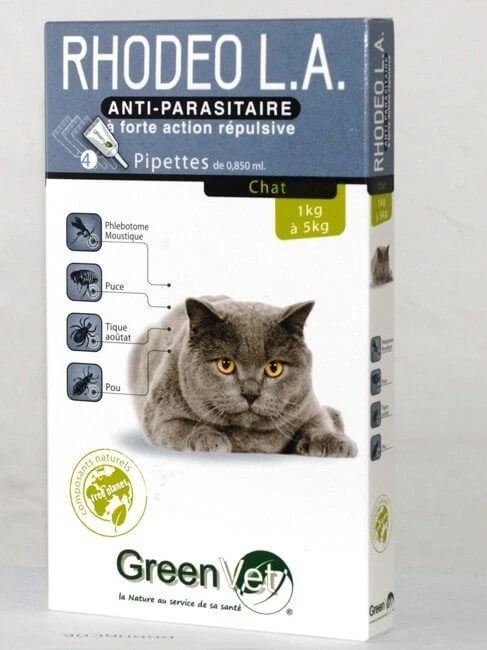 Rhodeo L.A Chat 4 Pipettes