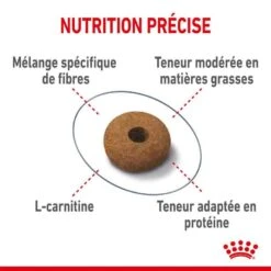 Royal Canin Feline Care Nutrition Appetite Control 2 Kg -Animal Compagnie Fournitures Magasin royal canin fe line care nutrition sterilised appetite control3 1