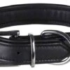 Trixie Active Comfort Collier Noir S 31-37 Cm